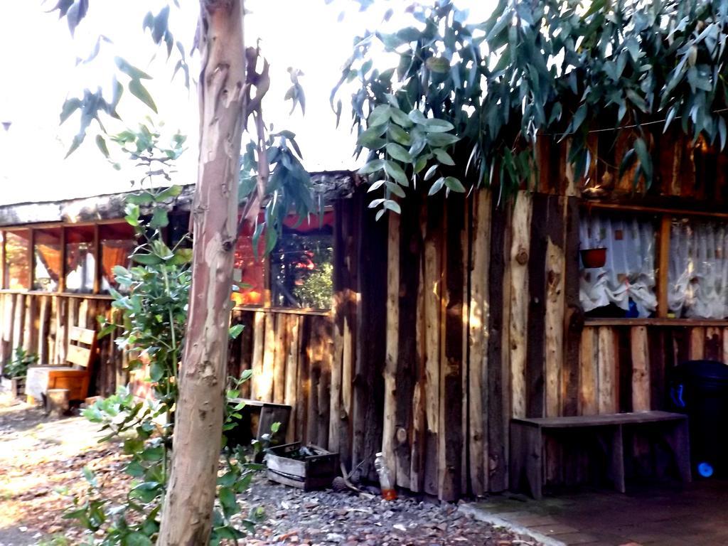 Cabanas Aguas Claras Пинто Номер фото